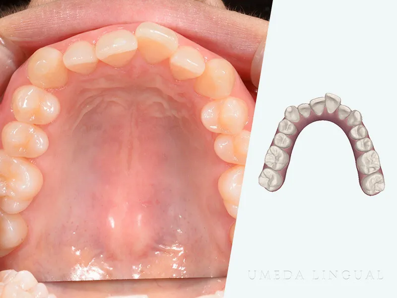 初診コンサルテーションの様子