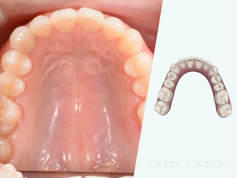 シミュレーション画面の確認