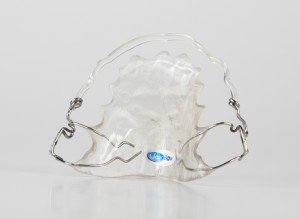 hawley-retainer-with-clearbow-labial-wire