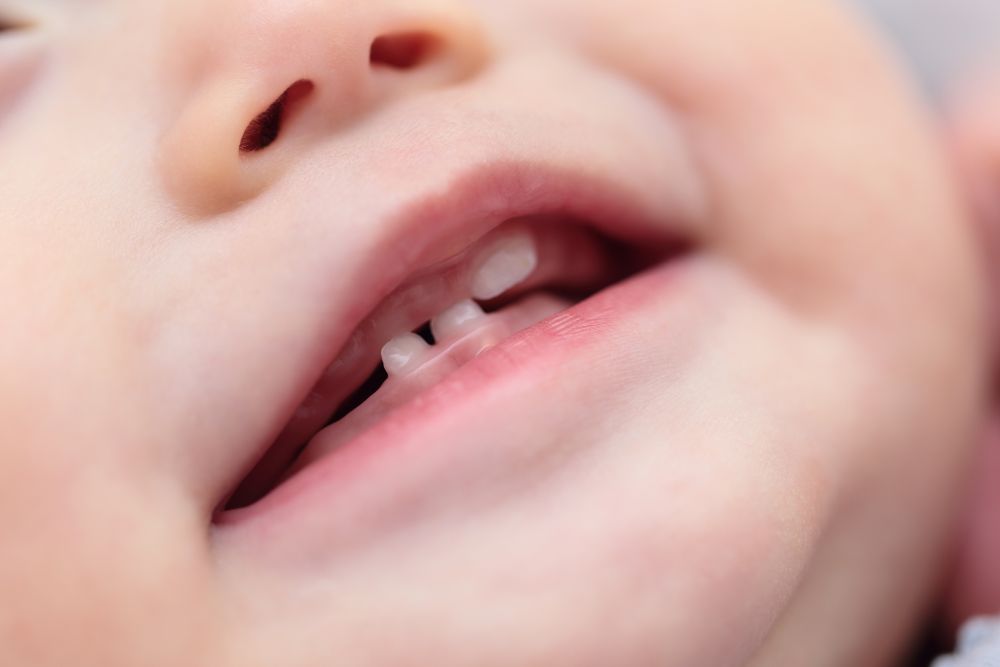 赤ちゃんの生えはじめの歯