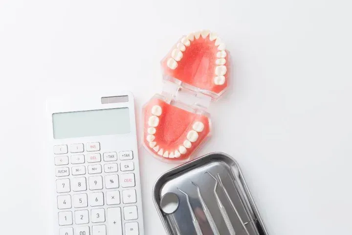 歯の模型と電卓