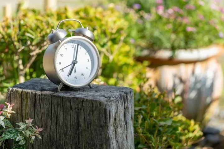 屋外に置かれた目覚まし時計