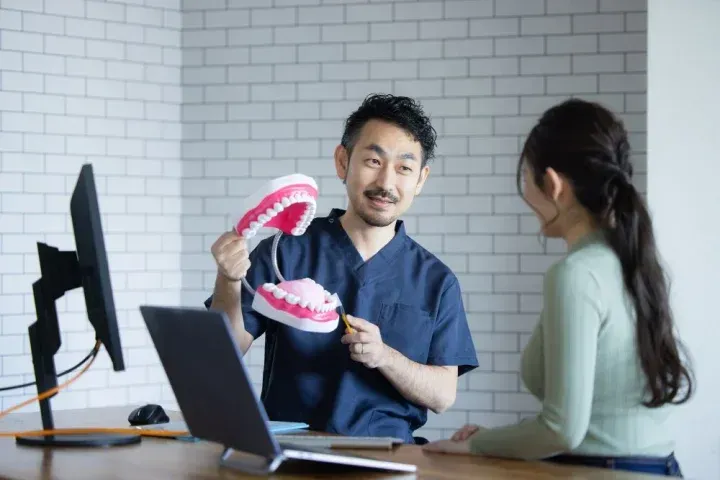 歯の模型をつかって説明する歯科医